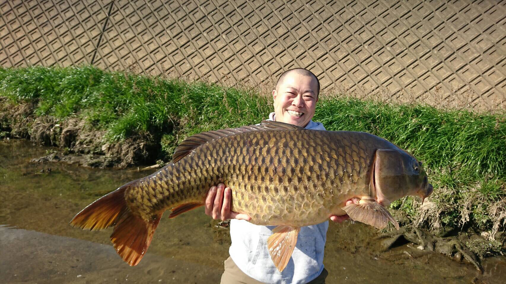 新手钓鱼必须要了解的方法,关于钓鱼的文章有哪些