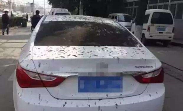 车子到底应该多久保养一次,车子保养怎么不花冤枉钱