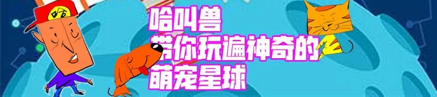 猫鼻支的症状以及猫鼻支的治疗