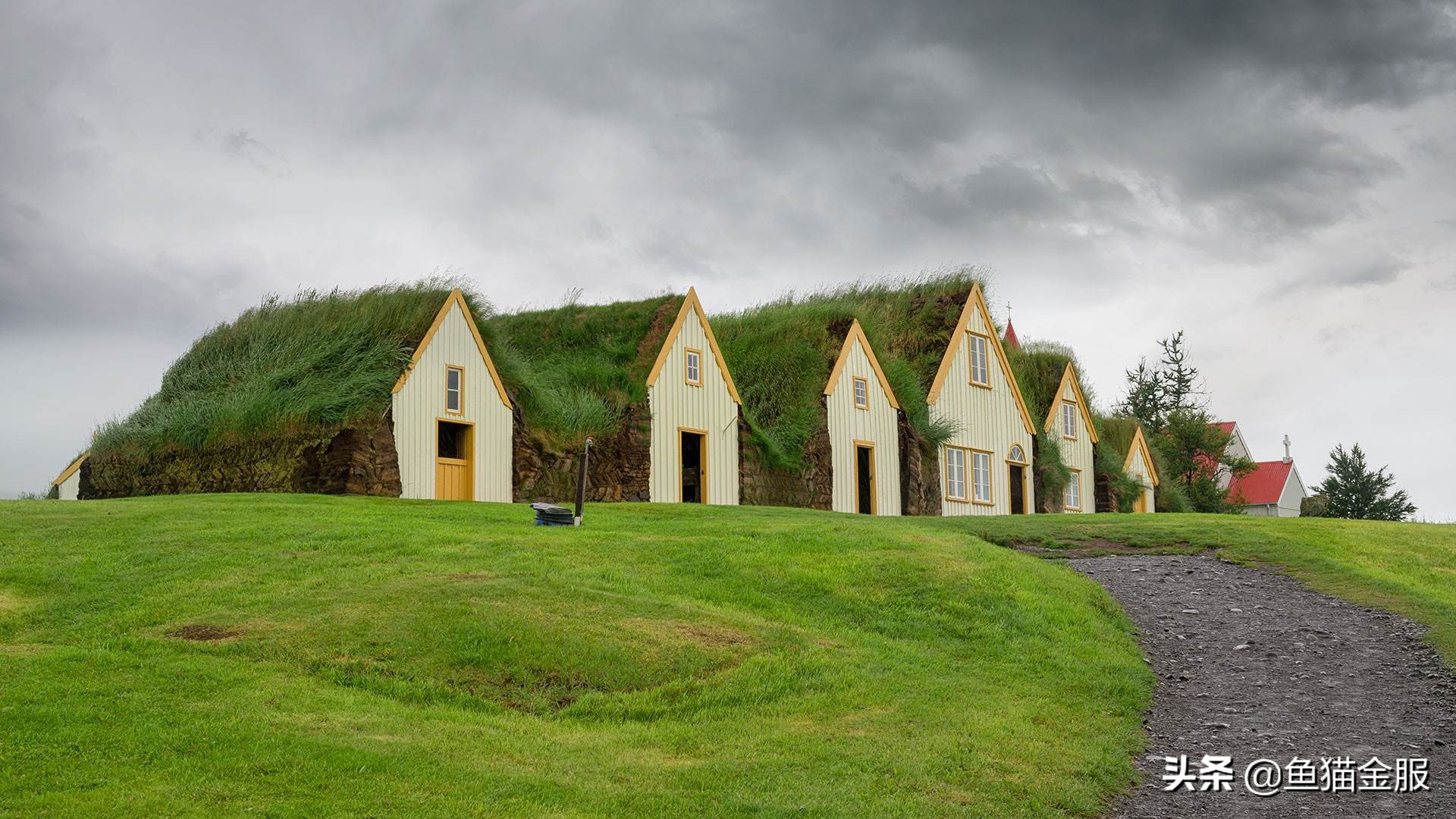 楸肩尗閲戞湇,楸肩尗閲戞湇鎬庝箞鏍风殑