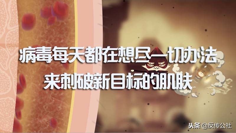 解密1040传销,武汉传销1040骗局揭秘