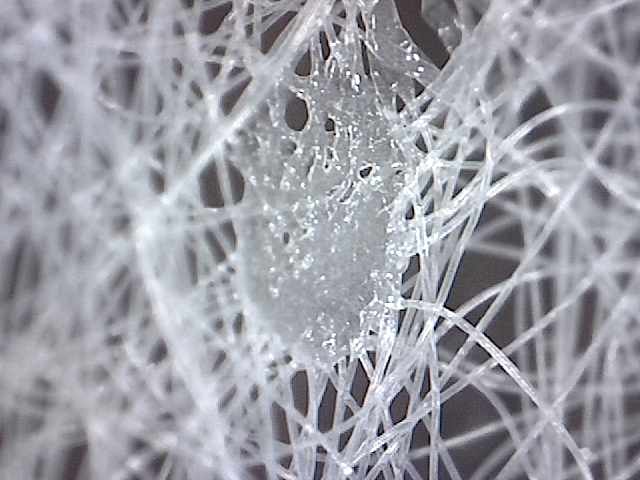 怎么区分纸尿裤的好坏,纸尿裤用料怎么看