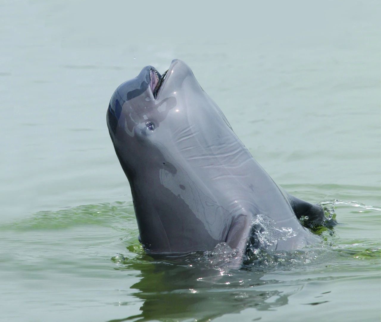 宜昌70岁以上老人免费景点,宜昌70岁高龄补贴