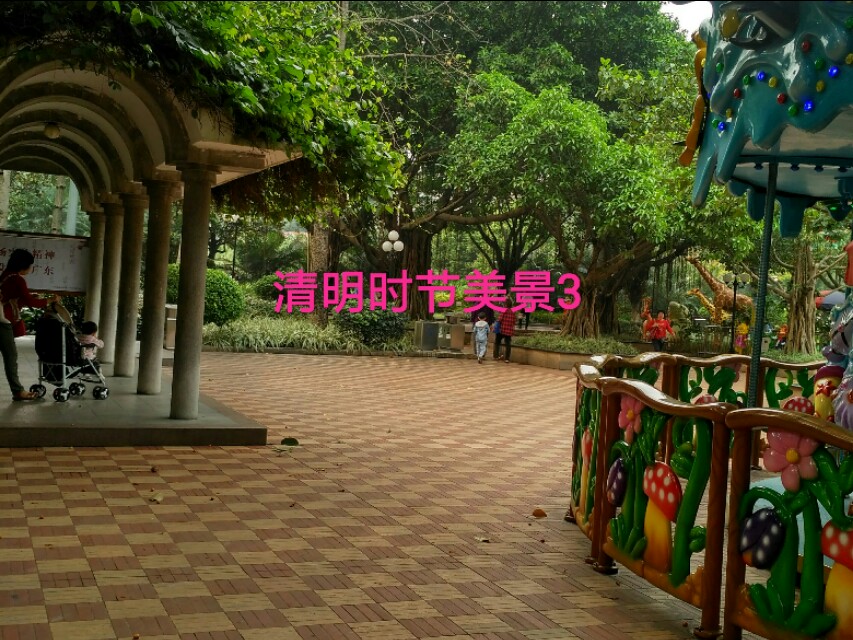 枫林诗苑落花诗句,枫林诗苑古诗