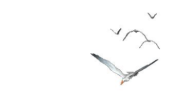 2020全球船用燃油限硫,2020年船用燃油限硫方案