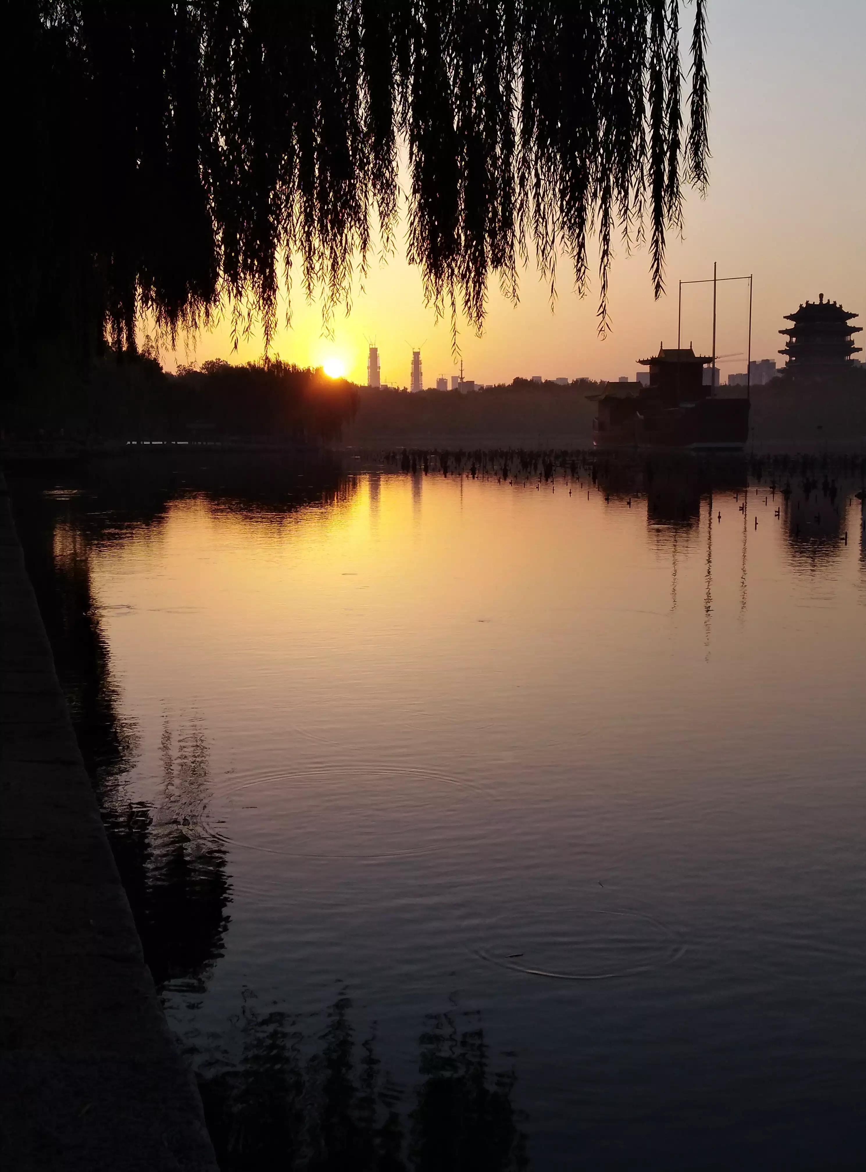 多彩的秋天绘本故事,多彩的秋天绘画