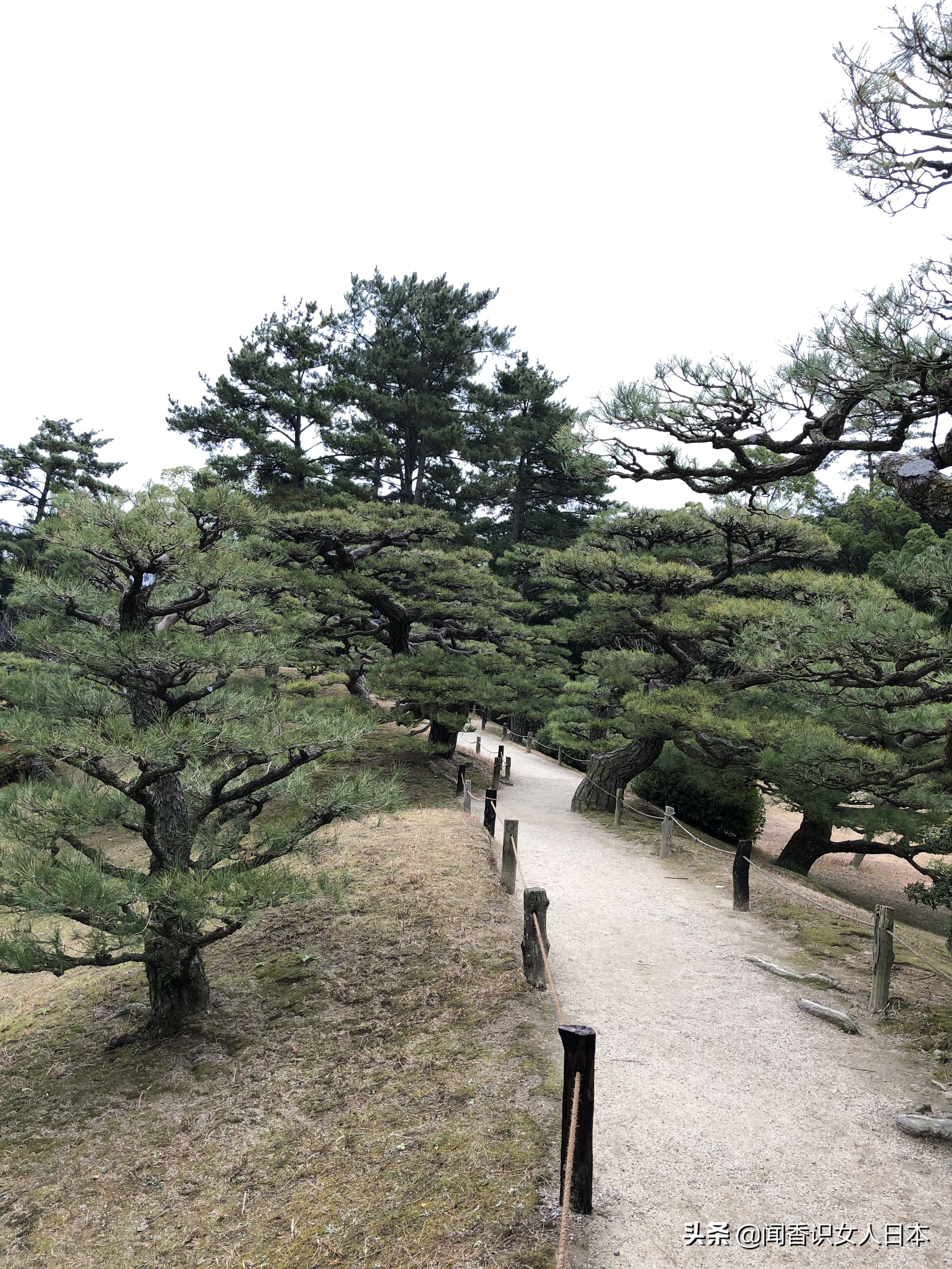 日本的米其林三星餐厅,日本米其林三星参观