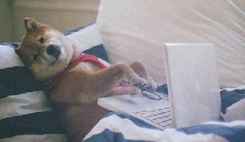 电动牙刷玩具枪,牙刷电动玩具