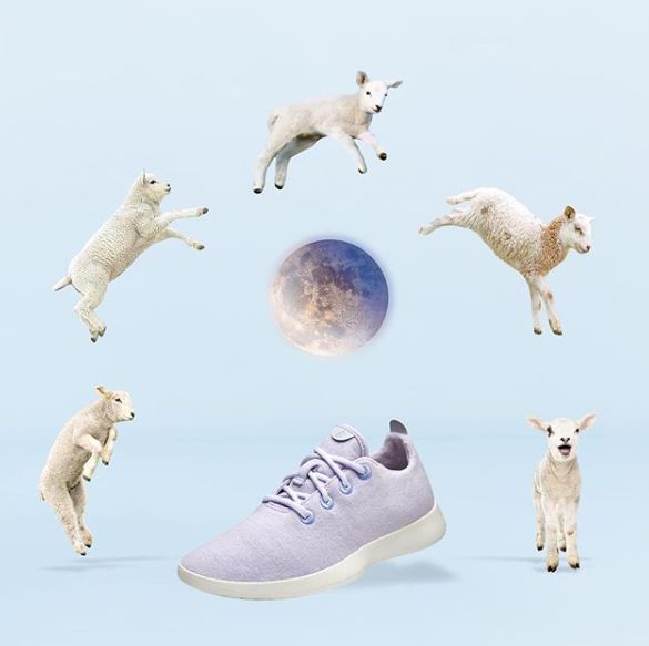 耐克阿迪比较火的鞋,耐克很火的网红鞋