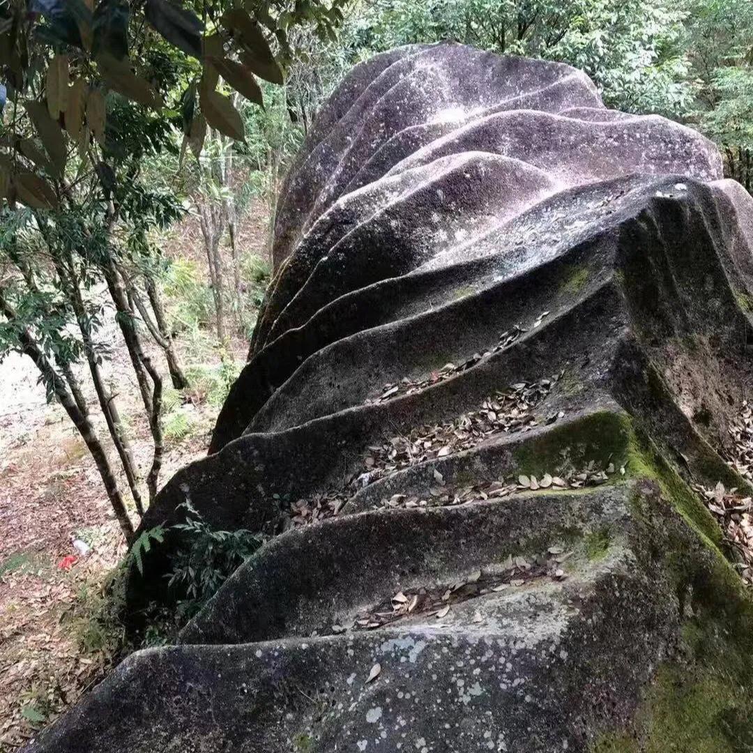 在十八股头山寻找“十二股头”