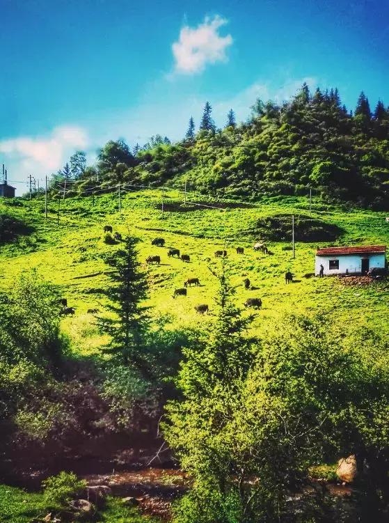 甘南被誉为,甘南世界十大美景