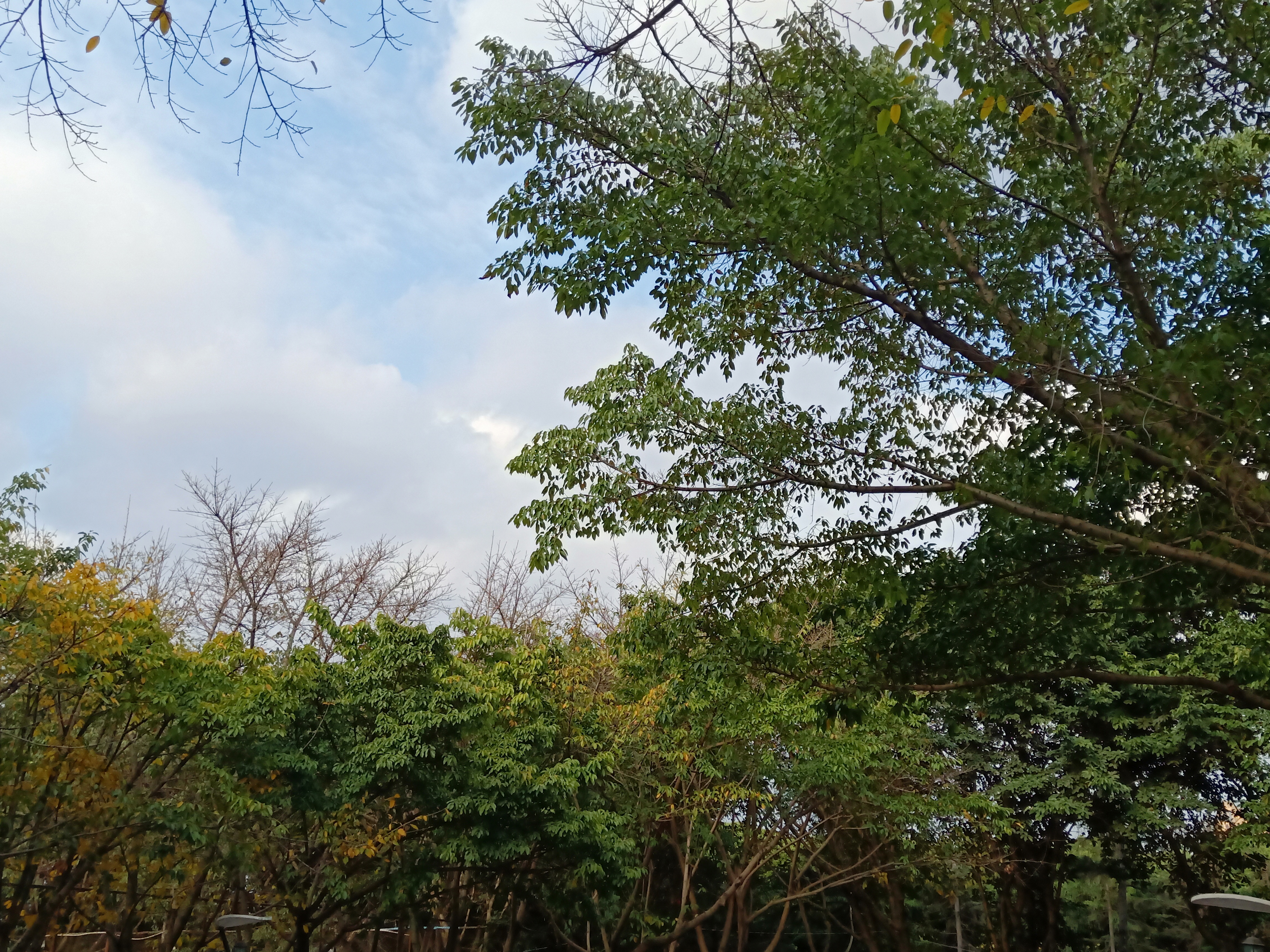 四川绵阳五一广场，一个让人流连忘返的地方