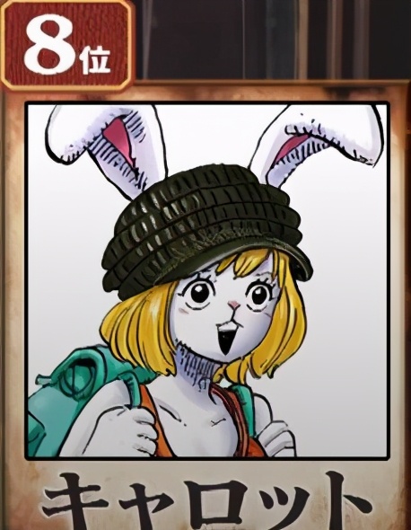 海贼王全球范围全角色投票,海贼王全球全角色人气大投票