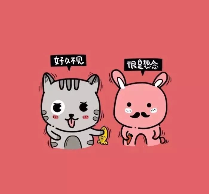 唐红重新回家,唐红个人简历