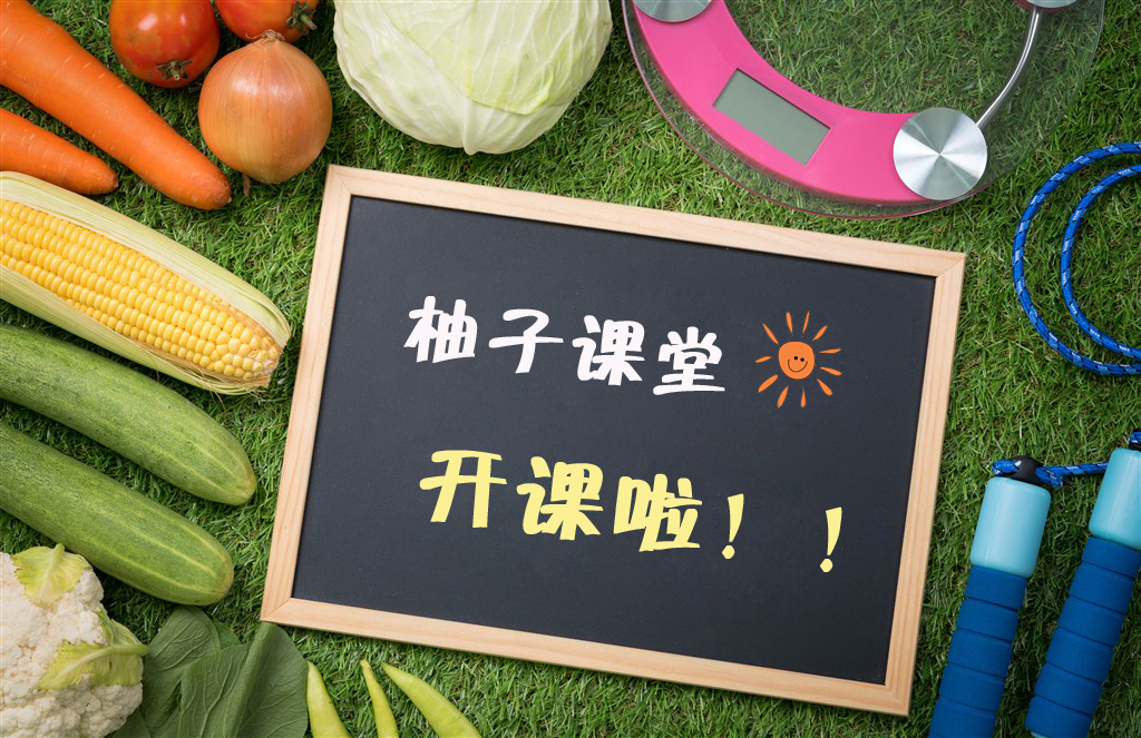 新手养猫铲屎官攻略,猫咪铲屎官新手教程