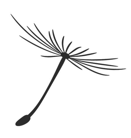 看完动画片狮子王电影观后感,观看狮子王简单的观后感