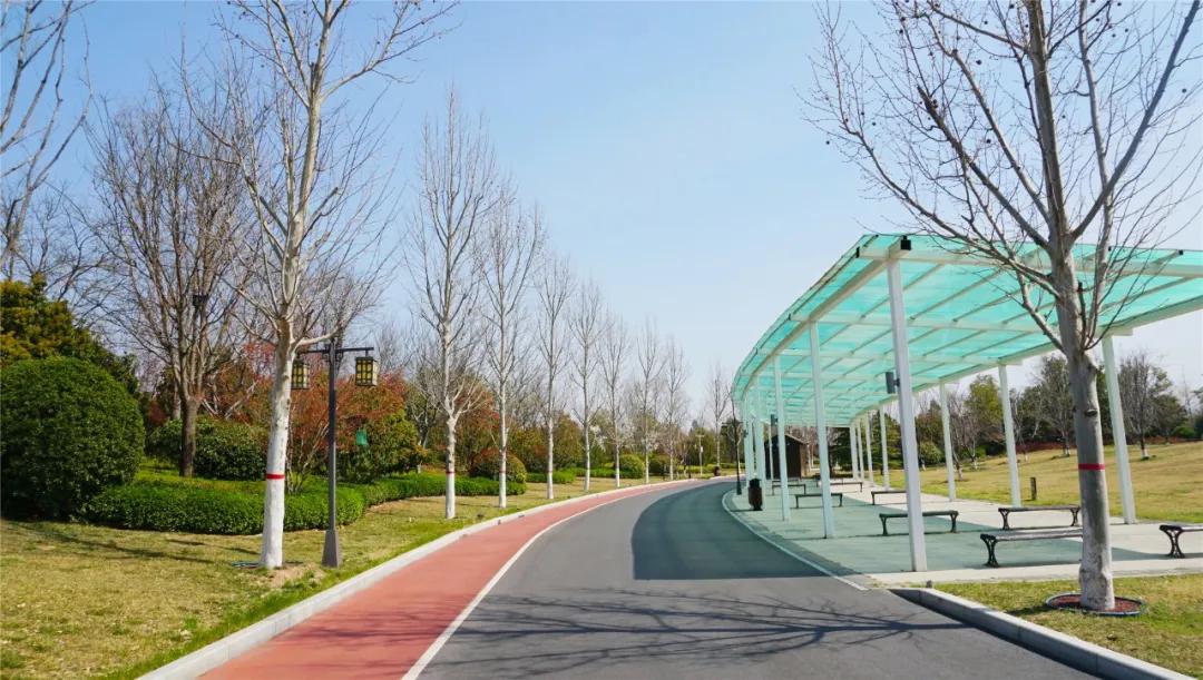 郑州免费游玩公园推荐,郑州新公园开放了吗