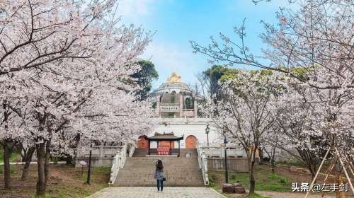 苏州上方山森林公园作文,苏州上方山国家森林公园电话