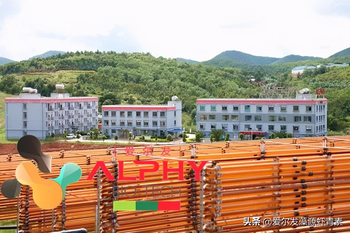 爱尔发生物技术股份有限公司,爱尔发健康管理