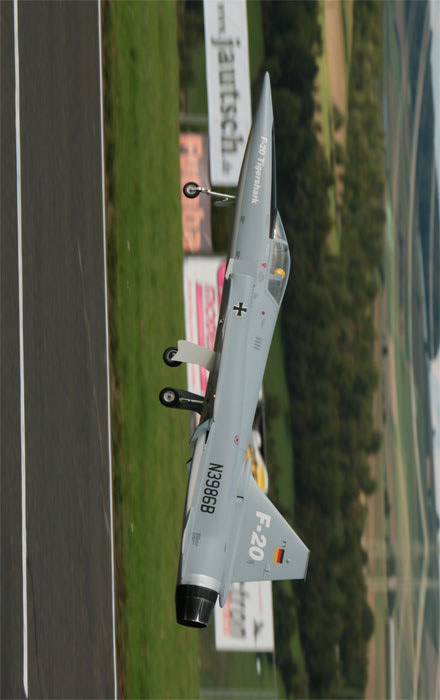 极富悲剧色彩的虎鲸,虎鲨悲剧