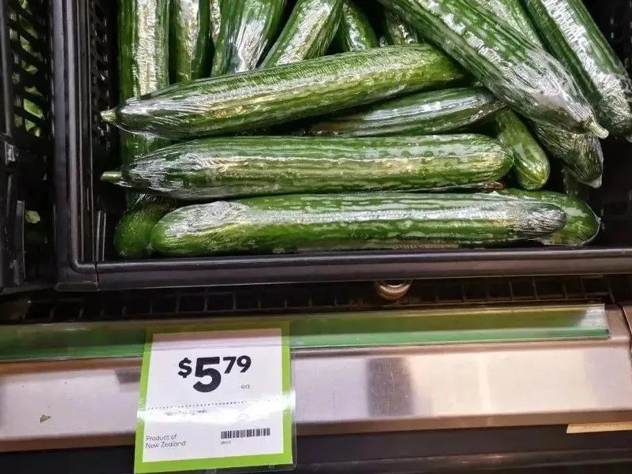 新西兰幼教移民真实感受,新西兰留学值不值得