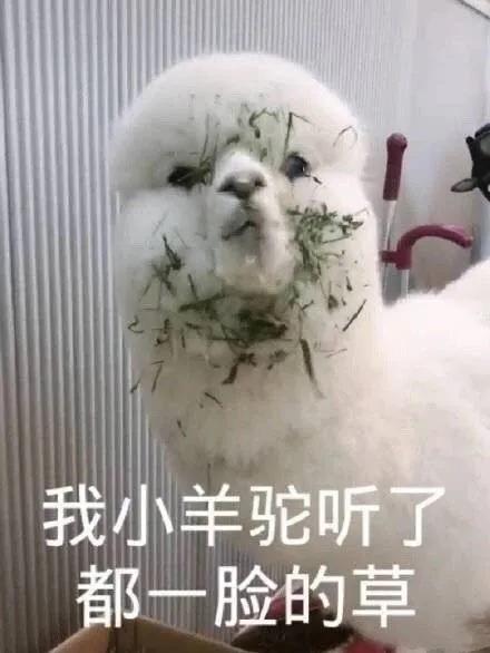 以前我没得选只想做个好人表情包,以前我没得选现在只想做一个好人