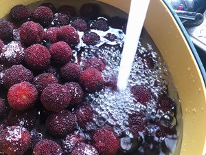 杨梅酒的正确泡法步骤和比例,杨梅酒的正确泡法步骤配方