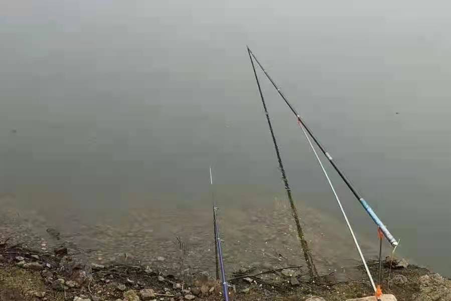 黑鱼在水里有多凶猛,黑鱼很凶猛炸鳞