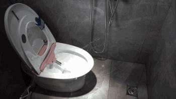 智能马桶到底好不好,tutu智能马桶实测