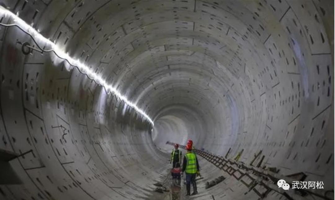厉害了大湾区,厉害了大中国