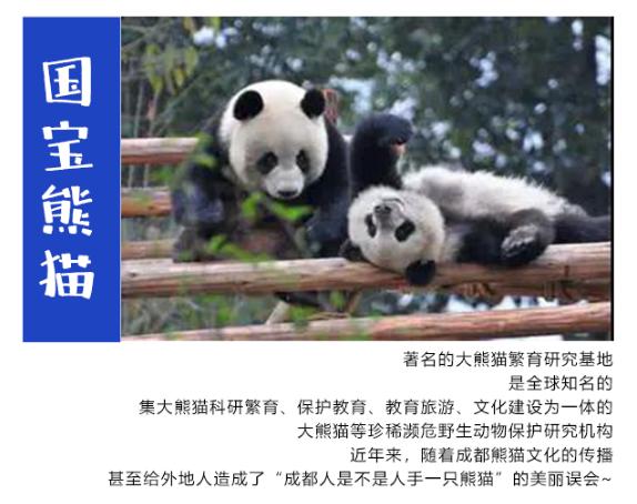 传奇！华为董事长、中国电信董事长、网易创始人，全部毕业于四川这所大学！