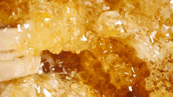 冬季去林芝旅游有哪些美食推荐,西藏林芝美食推荐最全