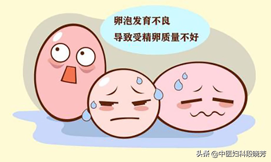 段晓芳医生看多囊怎样,中医段晓芳治多囊贵吗