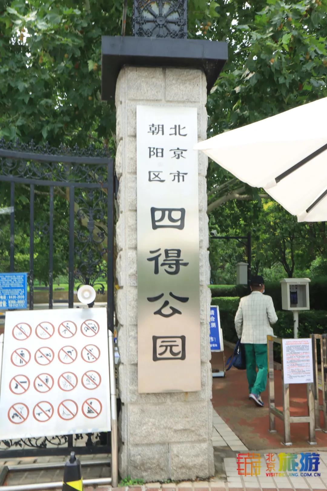 免费！市区就有“小森林”，花海芳香扑鼻！还有美好的祝福送给你