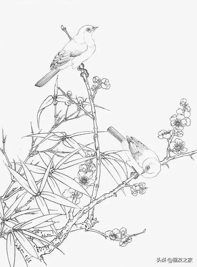 工笔梅花教学,工笔梅花设色技巧