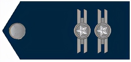 巴西军衔图片,各国军衔标识俄罗斯