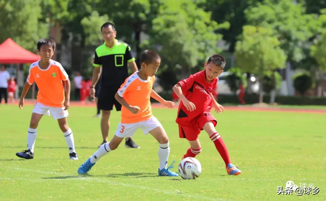 区中小学足球联赛,体教融合杯中学篮球赛