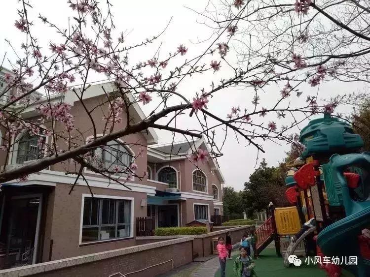 上海十大民办园,上海公办示范园有哪些