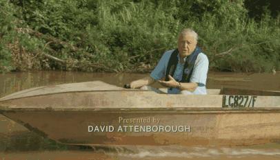 待疫情平息,和孩子一起探索“失落的世界”婆罗洲原始雨林