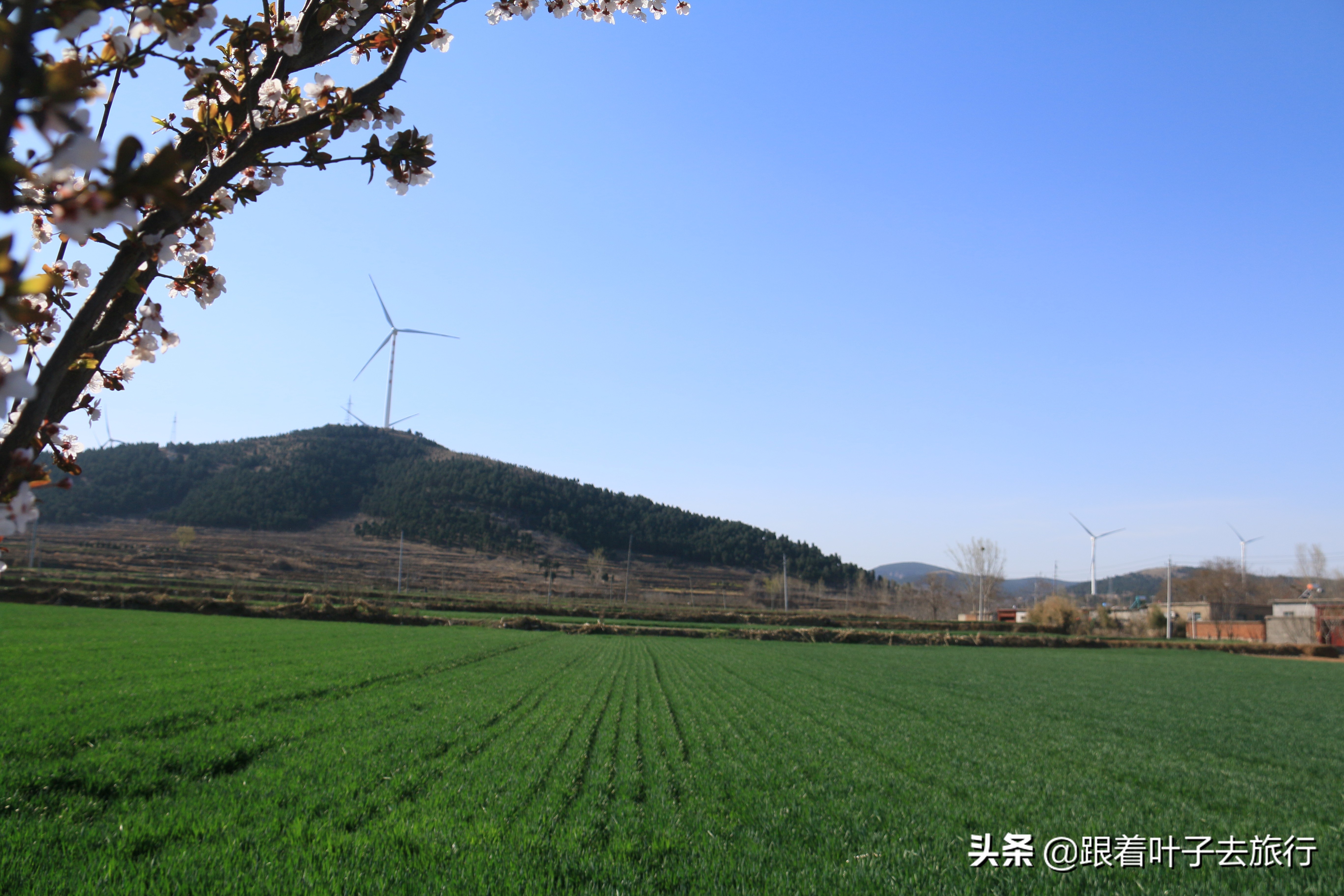 济南大山上发现一个石屋,济南长清梯子山