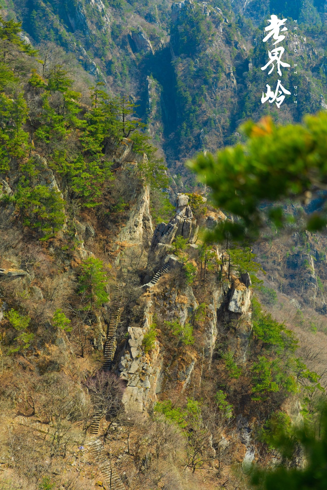 游览老界岭的感悟,河南老界岭景区