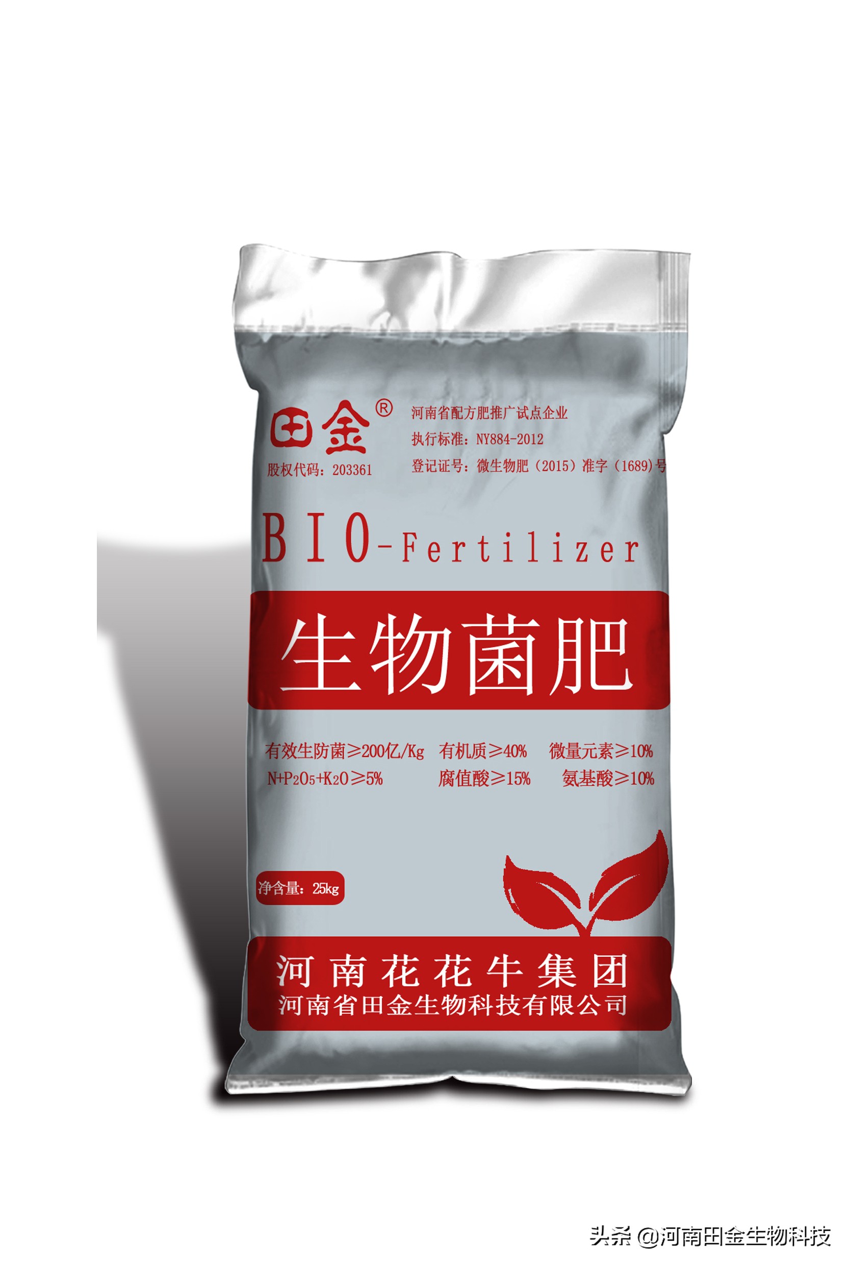 商麦1号选育报告