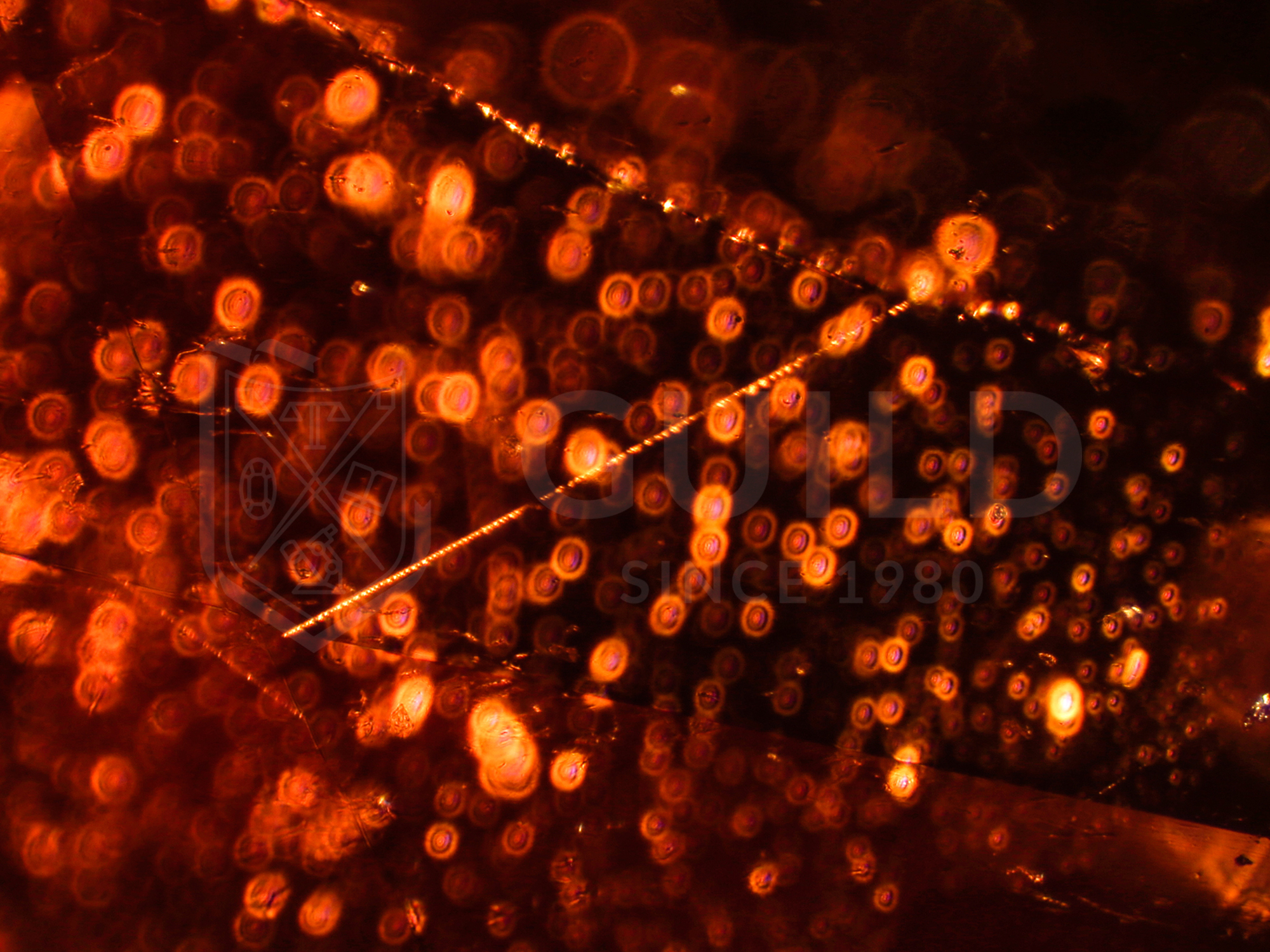 芬达乐趣,芬达清亮音色