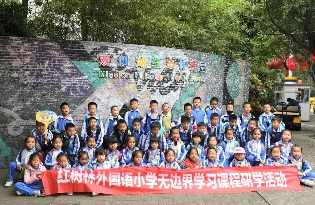 宝安区公立小学积分排名,宝安公办小学积分一览表