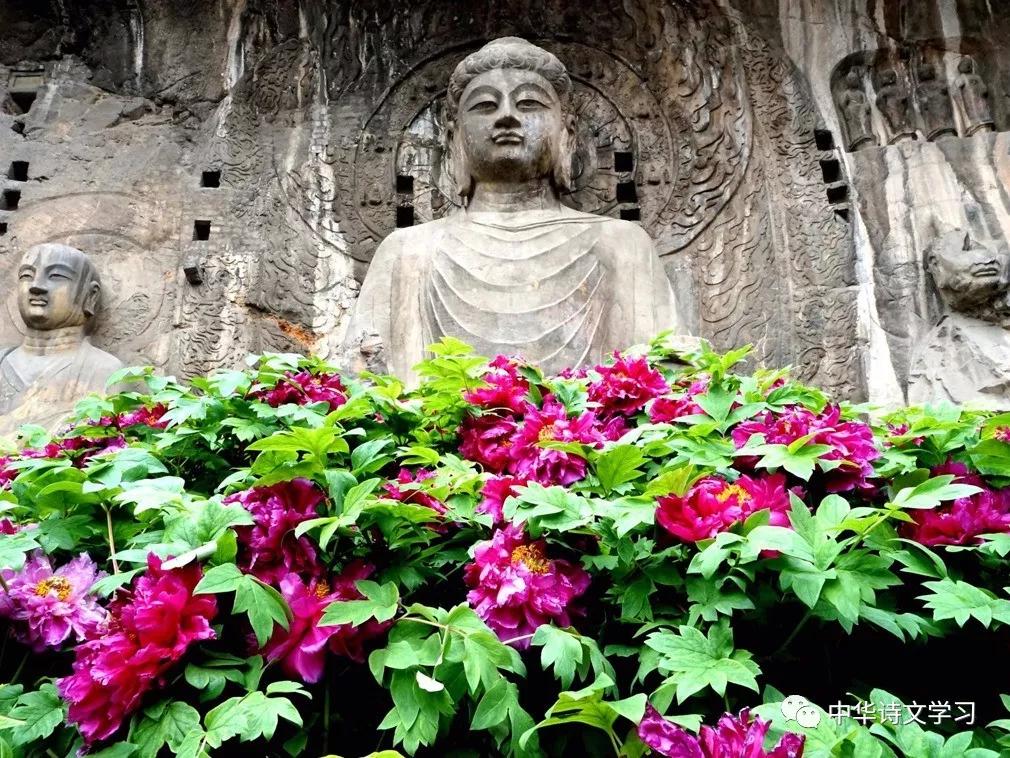 十首经典咏物诗,十首咏物诗并简单赏析