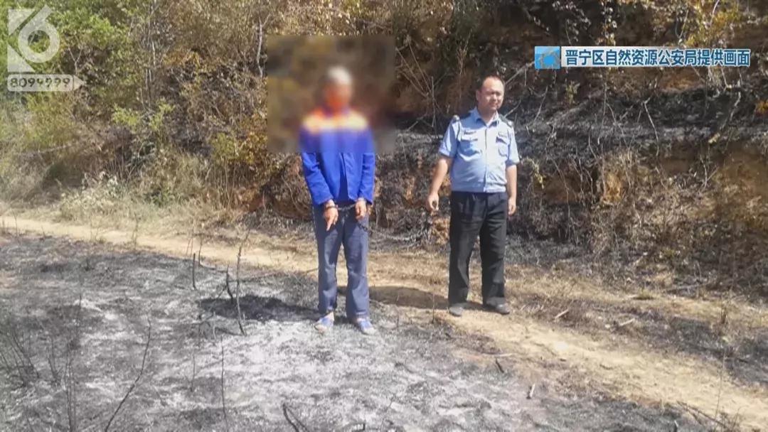 一不小心，他放火把山烧着了