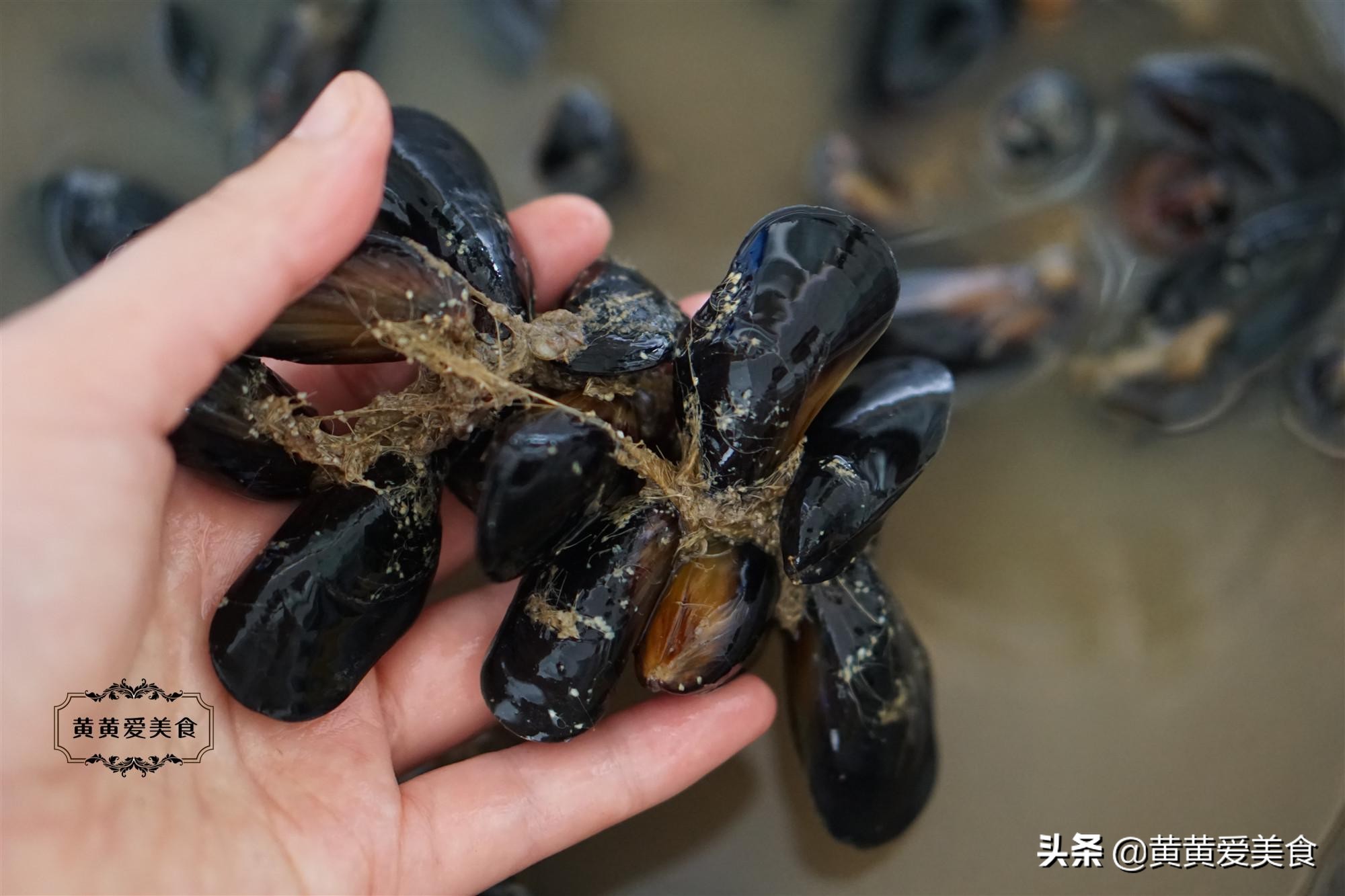 海虹怎么做好吃家常做法视频,海虹做法大厨