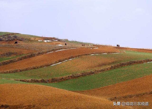 毁约遇到毁约怎么处理,毁约怎么退钱