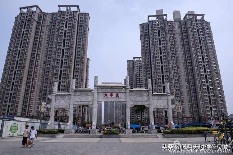 济南的法国梧桐,济南梧桐树美景