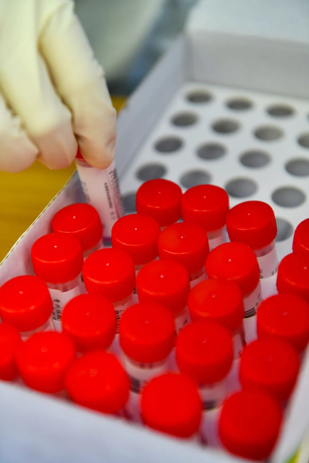 遵义市部分地区核酸检测最新通知,遵义第2轮核酸检测最新通知